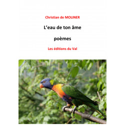 L'eau de ton âme