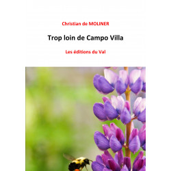 Trop loin de Campo Villa