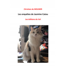 Les enquêtes de Jasmine Catou