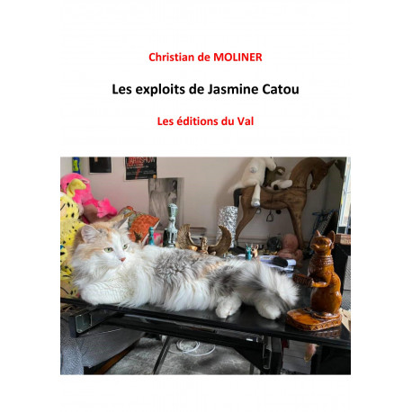 Les exploits de Jasmine Catou